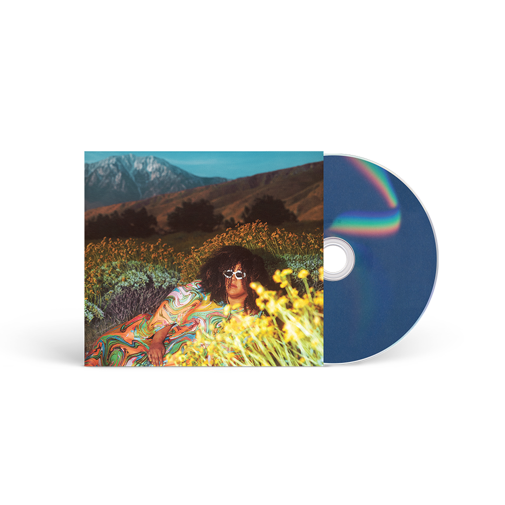 What Now Standard CD - Brittany Howard Official Store