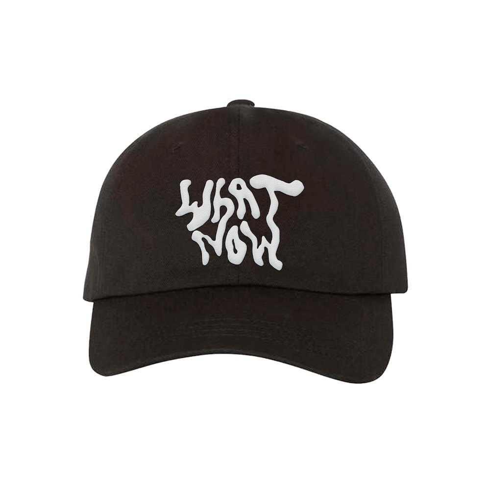 What Now Dad Hat